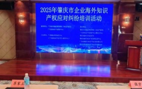 肇庆市举办海外知识产权风险应对培训  助力企业稳健“出海”