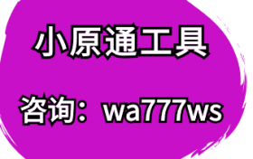 小原通工具-如何抓住短视频风口